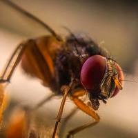 Portfolio Thumbnail 13