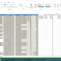Data Entry PDF to Excel