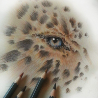 Portfolio Thumbnail 8