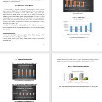 Financial analysis