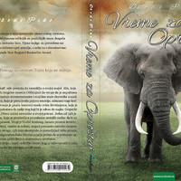 Portfolio Thumbnail 18