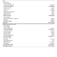 Balance Sheet Sample