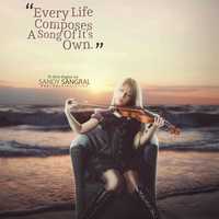 Portfolio Thumbnail 4