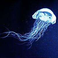 Jelly Fish White Charcoal Drawing