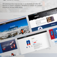 Shopify website development