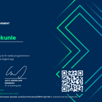 Virtual Assistance Certificate 