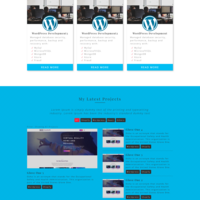 Personal Website (Wordress Custom Theme