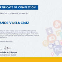 Social Media Management Cert