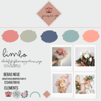 Portfolio Thumbnail 11