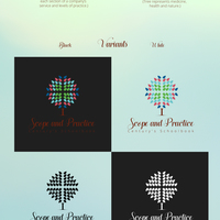 Completed project Brand & Identity for "Scope and Practice"