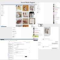 Responding to customer queries through social media