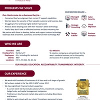 IT business one-sheet