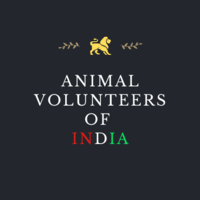 Logo Design for ngo