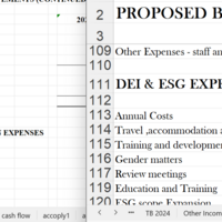 Budgets and Accounts