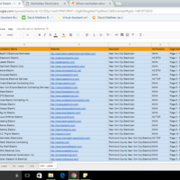 Main Leads Sheet