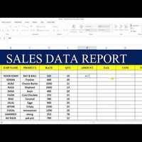 Sales Data Entry
