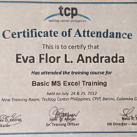 Basic MS Excel Training Certificate