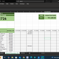 Dataentry Template(Consumption log)