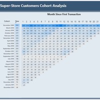Customer Cohort Analysis 