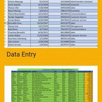 Data Entry 