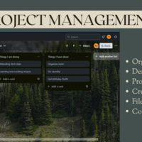 PROJECT MANAGEMENT 