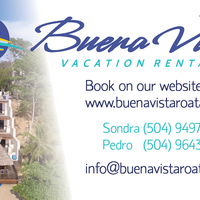 Buena Vista Biz Card