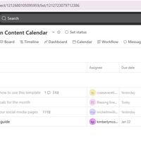 TASK ALLOCATION ON ASANA