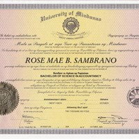 Bachelor's Degree  in Accountancy