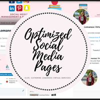 Social Media Accounts Optimization