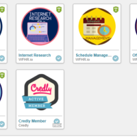 Virtual Assistant Badges