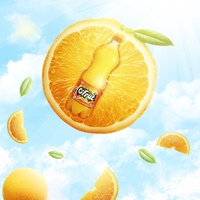 Portfolio Thumbnail 2