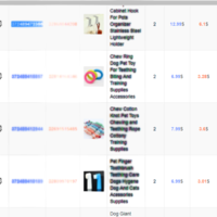 Portfolio Thumbnail 13