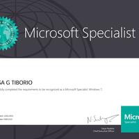 Microsoft Specialist