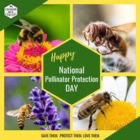 Portfolio Thumbnail 11