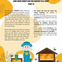 Sample graphic designing a newsletter