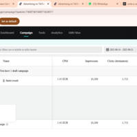 shopify store tiktok ads
