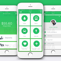 iPhone app UI
