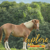 Portfolio Thumbnail 3