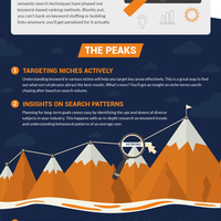 SEO Infographics