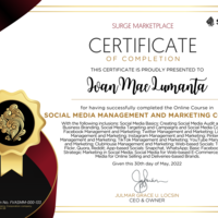 Gold Certificate for SMM 