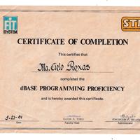 Programming course