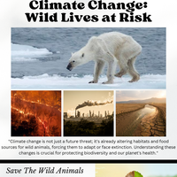 Portfolio Thumbnail 9