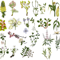 Portfolio Thumbnail 19