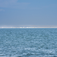 Portfolio Thumbnail 3