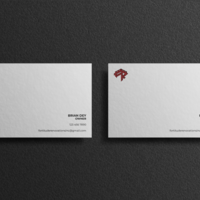 Logo & Brand Assets - Fortitude Renovations Inc.