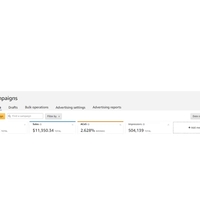This is an example of an Amazon PPC campaign I set up