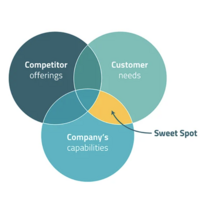 Product Launch and Brand Positioning