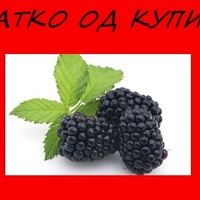 Label Design
