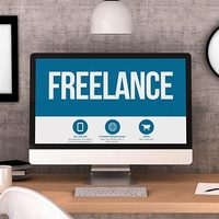 Freelancer