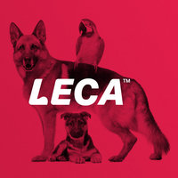 Leca Logo Design - Dog Academy 